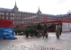 Plaza Mayor 0  Plaza Mayor